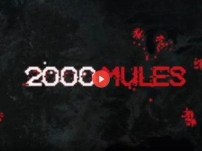2000 mules ofte hoe de verkiezingen in Amerika gestolen&nbsp;werden