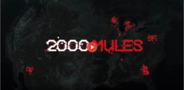 2000 mules ofte hoe de verkiezingen in Amerika gestolen&nbsp;werden