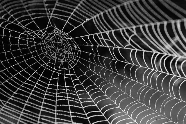 De spin in een web van&nbsp;corruptie
