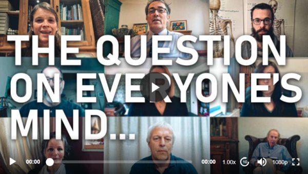 Ask the experts