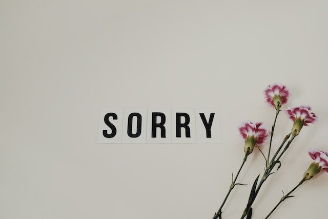 Onze excuses