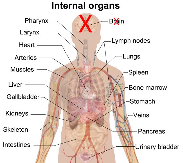 Anatomie van de politicus&nbsp;2.0